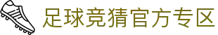 最火的足球竞猜平台排行榜|TOP10权威推荐